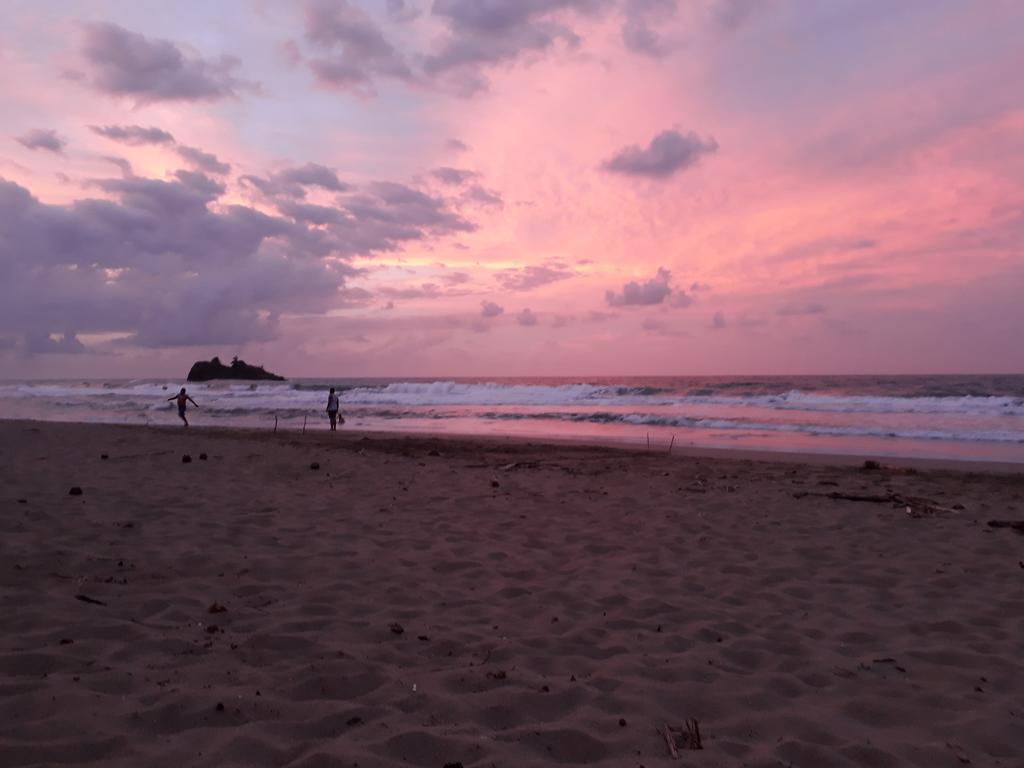 Talamanca Cabins Cahuita Kültér fotó